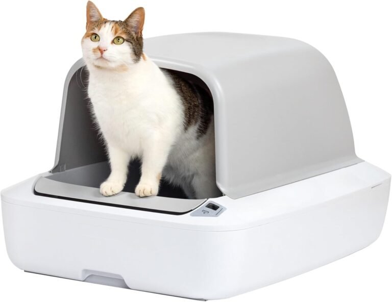The $219 Self-Cleaning Litter Box That Eliminated Daily Scooping for My Two Cats