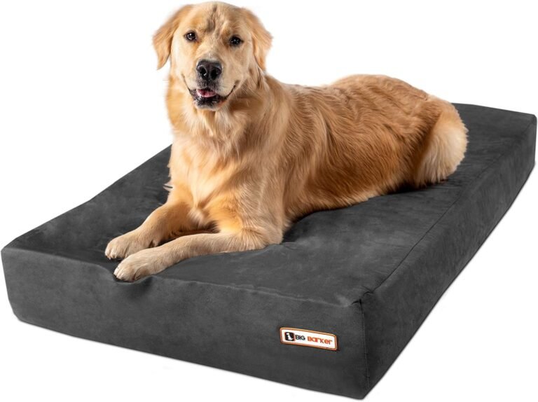 The Orthopedic Dog Bed That Fixed My Senior Dog’s Hip Pain Overnight