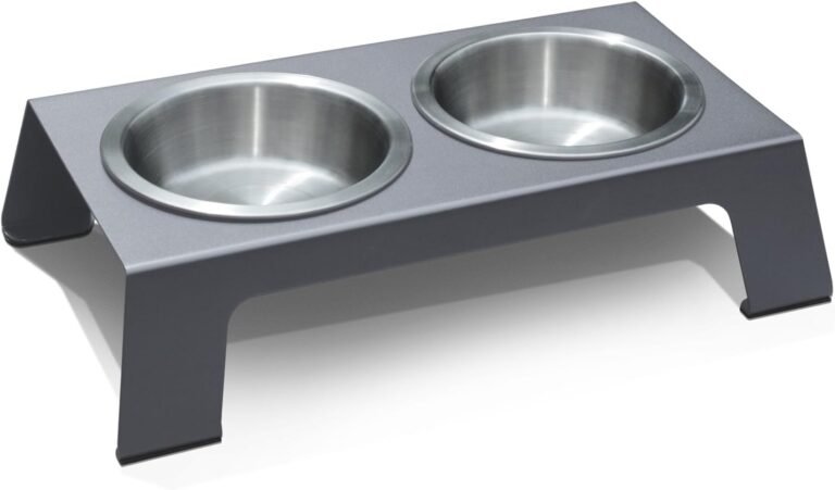 The $49 Elevated Dog Bowl That Ended My Dog’s Neck Pain and Slobber Mess Forever