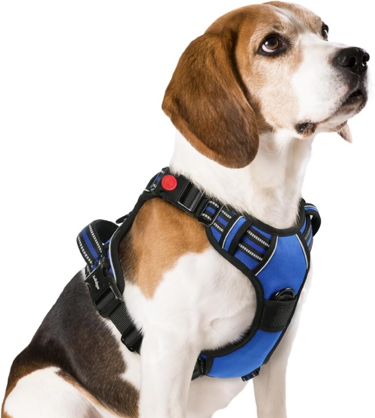 The $20 Dog Harness That Stopped My 70-lb Escape Artist From Bolting in 0.3 Seconds