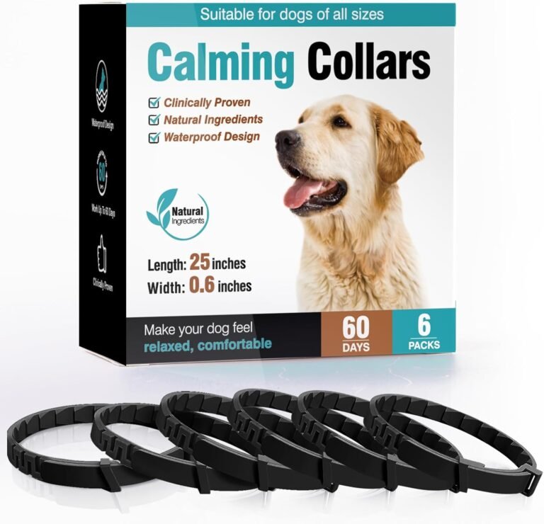 The Calming Dog Collar That Helped My Dog Stay Relaxed During Thunderstorms