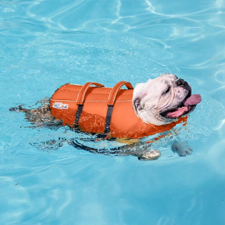 The Dog Life Jacket That Let My Dog Swim Safely in Lakes and Pools