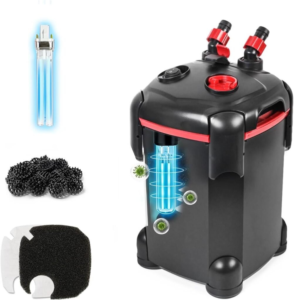 Best Fish Tank Filter System 2026: How To Keep Water Clean In Aquarium
