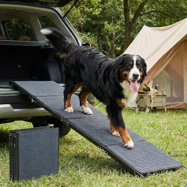 Best Dog Ramp for Cars 2026: The Foldable Step That Helped My Senior Dog Enter the SUV Easily